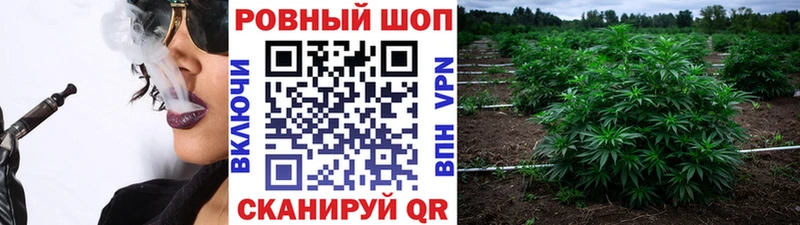 Что такое Джанкой Бошки Шишки  МЕТАДОН  ГАШИШ  СОЛЬ 