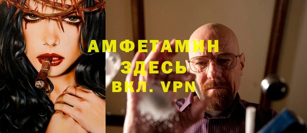 прущие грибы Алзамай