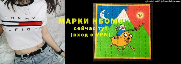 прущие грибы Алзамай