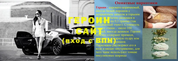 прущие грибы Алзамай